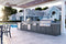 36" Pro-Grade Grill w/ Rotiss Burner
