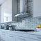 Wall Chimney Hood