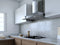 Sleek Contemporary Wall Mount Hood
