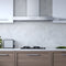 Sleek Contemporary Wall Mount Hood