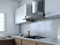 Sleek Contemporary Wall Mount Hood