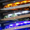 24" Wine Cooler Single Zone