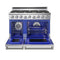 48 Inch X Series Professional Freestanding Gas Range