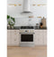 30" Dual-Fuel Professional Range with 4 Burners