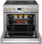 36" Dual-Fuel Professional Range with 6 Burners