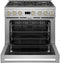 36" Dual-Fuel Professional Range with 6 Burners