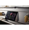 48" Dual-Fuel Professional Range with 4 Burners, Grill, and Griddle
