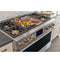 48" Dual-Fuel Professional Range with 4 Burners, Grill, and Griddle
