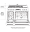 48" Dual-Fuel Professional Range with 6 Burners and Griddle