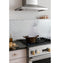 30" All Gas Professional Range with 4 Burners