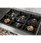 36" All Gas Professional Range with 6 Burners