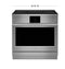 36" Induction Professional Range with 5 elements