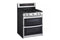 LG LDGL6924S 6.9 cu. ft. Smart Gas Double Oven Freestanding Range with ProBake Convection(R) and Air Fry