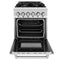 ZLINE 24" 2.8 cu. ft. Dual Fuel Range with Gas Stove and Electric Oven in Stainless Steel and Blue Gloss Door (RA-BG-24)