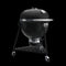 WEBER 18201001 Summit(R) Kamado E6 Charcoal Grill - 24 Inch Black