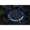 AMANA AGR6603SMS 30-inch Gas Range with Self-Clean Option