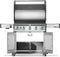 Napoleon RP625SIBPSS2 Pro Style BBQs Stainless Steel – Appliance Image