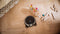 Miele SCOUTRX3RUNNERBRONZEPEARLFINISH Vacuum Accessories Bronze/Pearl Finish – Interior Drum