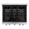 ZLINE SRBRASSBR30 Professional Ranges 0 – Catalog Photo