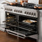 ZLINE RASSNBR60 Professional Ranges Durasnow Stainless Steel With Brass Burners – Control Panel