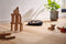 Miele SCOUTRX3HOMEVISIONROSEGOLDPF Vacuum Accessories Rose Gold (Pf) – Detail Close-up