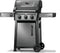 Napoleon F365DNGT Natural Gas BBQs Graphite Grey – Control Panel