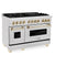 ZLINE RASZSN48G Professional Ranges Gold – Appliance Image
