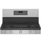 GE Appliances PGB965YPFS Freestanding Ranges Fingerprint Resistant Stainless – Official Product Photo
