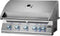 NAPOLEON BBQ BIG38RBNSS1 Natural Gas BBQs Stainless Steel – Catalog Photo