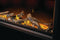 NAPOLEON BBQ TLV74LN Space Heaters 0 – Detail Close-up