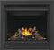 NAPOLEON BBQ BX36NTRE Space Heaters 0 Front View