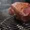weber-3400321-premium-wired-food-probe-triple-sensor – Catalog Photo