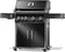 NAPOLEON BBQ RP525SIBNK2 Pro Style BBQs Black – Back Panel