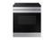 Samsung NSI6DG9100SR Slide-In Ranges Stainless Steel Front View
