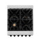 ZLINE RASZSN24MB Professional Ranges Matte Black – Control Panel