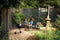 NAPOLEON BBQ NK22KLEG3 Charcoal BBQs Black – Studio Shot