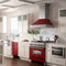 ZLINE DWRMH18 Built-In Dishwashers Red Matte – Catalog Photo