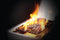Napoleon RSE625RSIBNSS1 Rogue® SE 625 Gas Grill with Infrared Side and Rear Burners (Natural Gas, Stainless Steel)