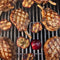 weber-1500580-genesis-s-415-gas-grill-natural-gas-stainless-steel – Lifestyle Photo