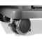 NAPOLEON BBQ R425NSS2 Natural Gas BBQs Stainless Steel – Catalog Photo