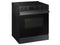 Samsung NSE6DG8100MT Slide-In Ranges Matte Black Steel – Appliance Image