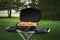 napoleon-bbq-70083-travelq-pizza-stone-for-portable-barbecues – Official Product Photo