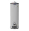GE Appliances GP40T08BXR Water Heaters Gray Front View