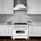 ZLINE RASWM36 Professional Ranges White Matte – Catalog Photo