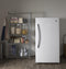 GE Appliances FUF17DLRWW Upright Freezers White – Product Image