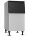 HOSHIZAKI BD300SF Upright Freezers 0 Front View