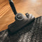 miele-completec3125galaeditiongg-complete-c3-125-gala-edition-graphite-grey-canister-vacuum-cleaners-with-protective-parquet-floorhead-for-first-class-care-of-delicate-hard-floors – Studio Shot