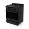 THOR KITCHEN RSG30BLP 30 Inch Professional LP Range With Tilt Panel Touch Control In Matte Black Gordon Ramsay Series - Rsg30blp