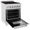 ZLINE RASSNBR24 Professional Ranges Durasnow With Brass Burners – Angle View