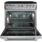 FORZA FR366GN Professional Ranges Standard Configuration Stainless Steel – Appliance Image